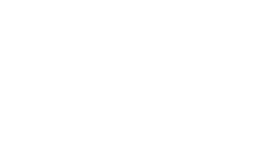 Global Network, opérateur télécom nouvelle génération